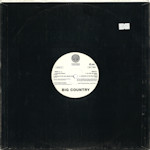 BICDJ212 Promo Rear Cover