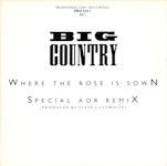 Where The Rose Is Sown (US Promo) Front Cover
